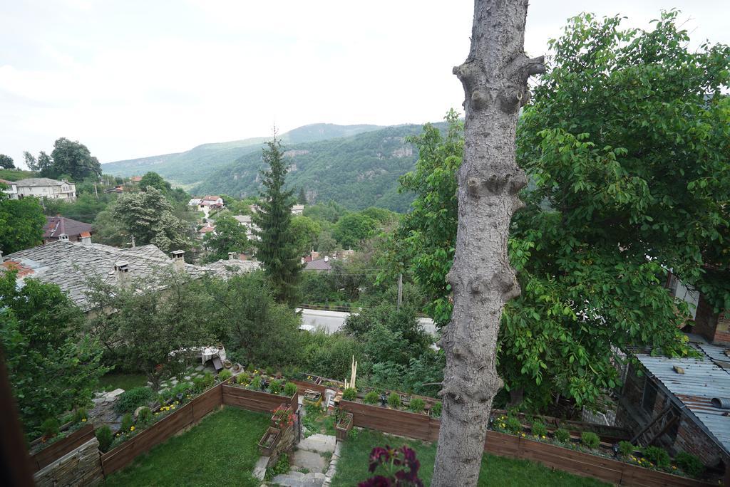 Вилла Pisanata House Dedovo Экстерьер фото